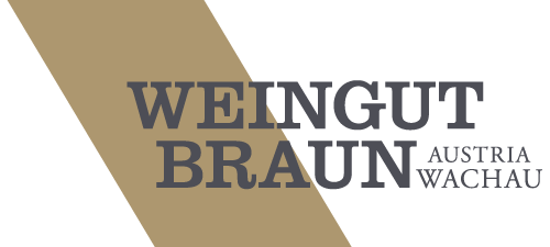 Braun_logo_txt_500x225 Braun_logo_txt_500x225